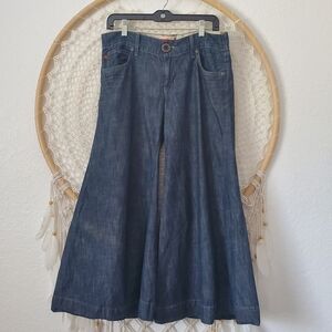 Anthropologie Level 99 Crop Flare Jeans